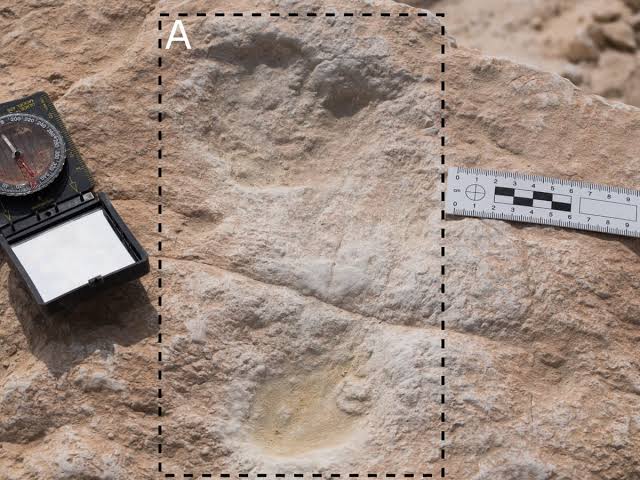 Oldest Human Footprints