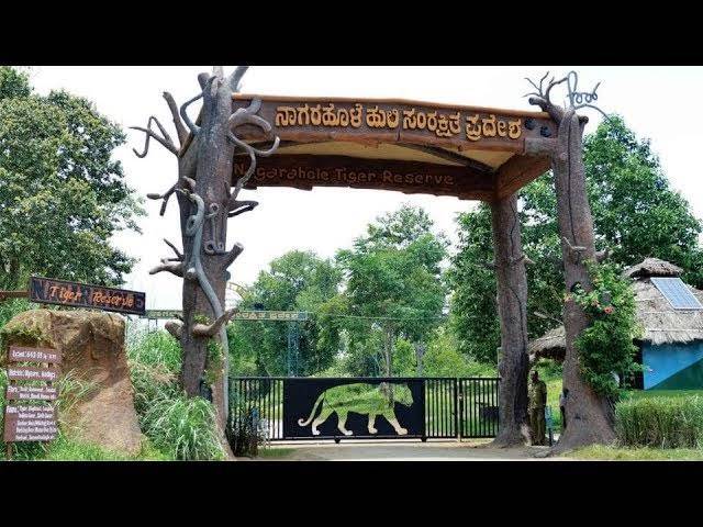 Nagarhole National Park: A Journey into the the Indian Wilderness