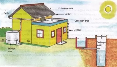 Harvesting the Rain: A Guide to Water Conservation