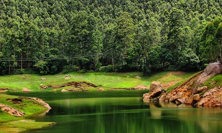 Echo Point Munnar