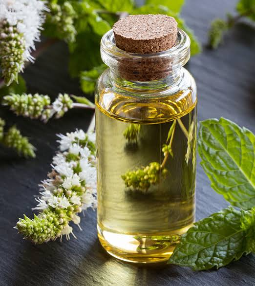 Peppermint Oil